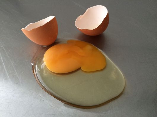 broken egg 2